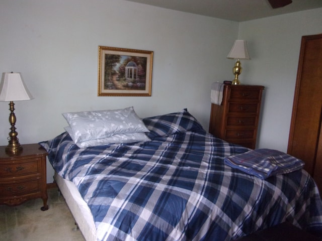 bedroom with carpet floors