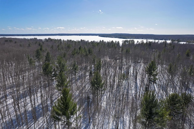 5766 E Shore Dr, Kalkaska, MI 49646 - photo 8