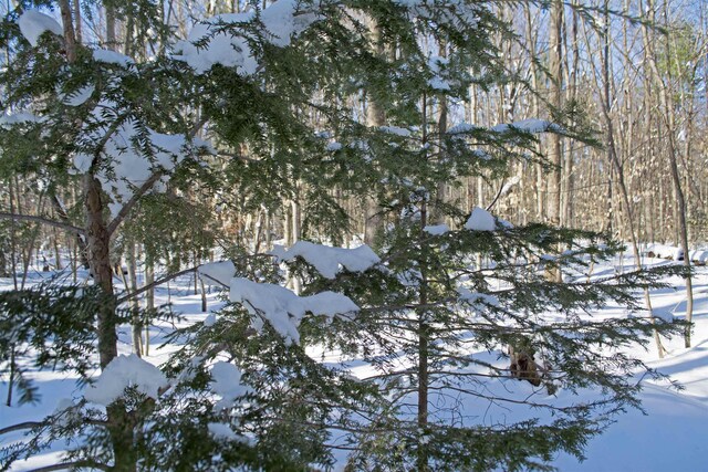 5766 E Shore Dr, Kalkaska, MI 49646 - photo 25