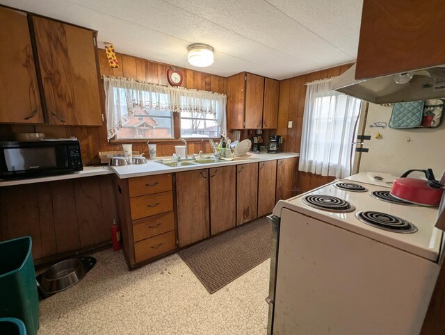 46382 Vine Ave, Bloomingdale, MI 49026 - photo 4