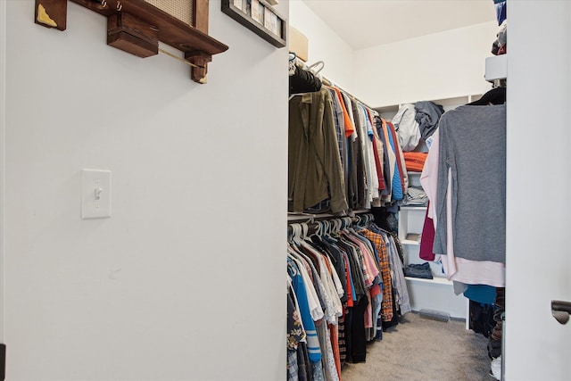 30909 Asbury Hill Ct, New Hudson, MI 48165 - walk in closet with carpet floors