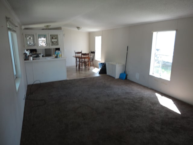 22025 Duvall, Romulus, MI 48174 - unfurnished living room featuring carpet
