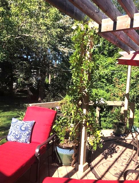 341 Ridgemont Rd, Grosse Pointe Farms, MI 48236 - view of patio with a pergola