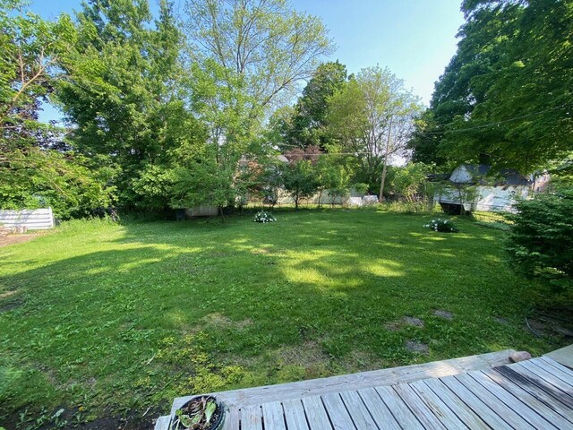 227 Railroad St, Chelsea, MI 48118 - view of green lawn