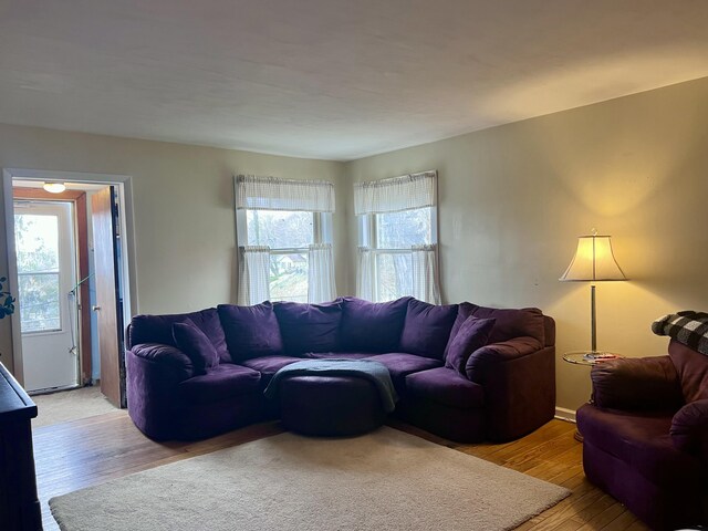4480 Stanton Blvd, Montague, MI 49437 - living room featuring plenty of natural light and light wood-type flooring