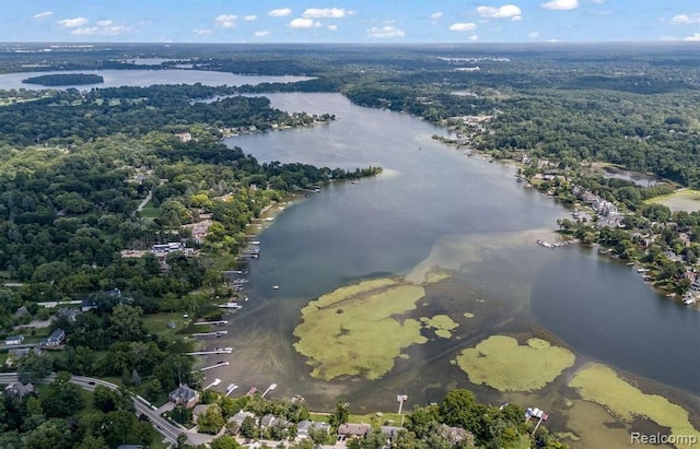 birds eye view of property featuring a water view and a view of trees