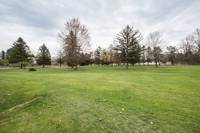 view of home's community with a lawn