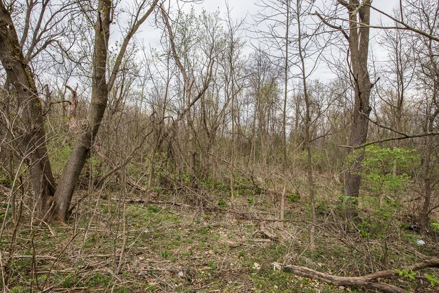 view of nature with a view of trees