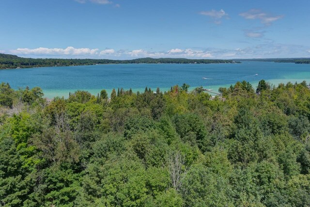 4537 E Duck Lake Rd, Lake Leelanau, MI 49653