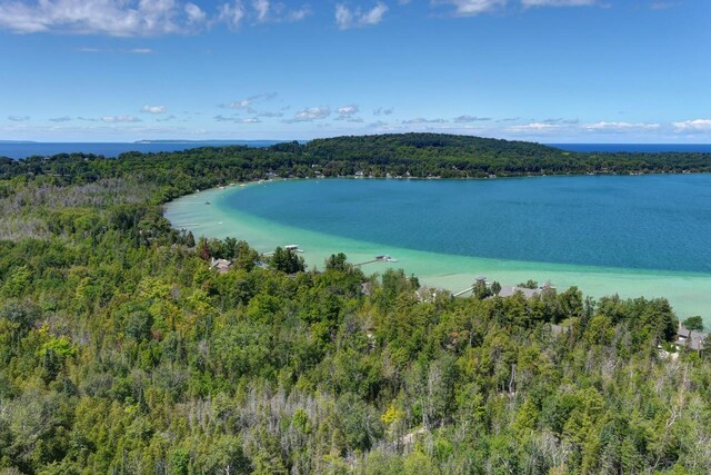 4537 E Duck Lake Rd, Lake Leelanau, MI 49653