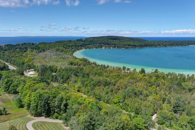 4537 E Duck Lake Rd, Lake Leelanau, MI 49653