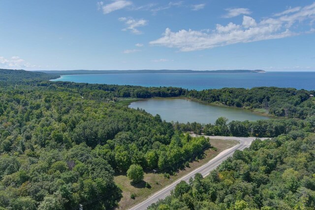 4537 E Duck Lake Rd, Lake Leelanau, MI 49653