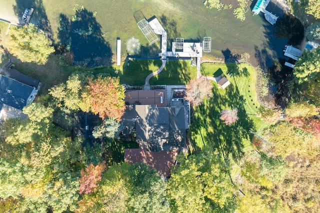 8366 Lynwood Ln, Mecosta, MI 49332 - bird's eye view