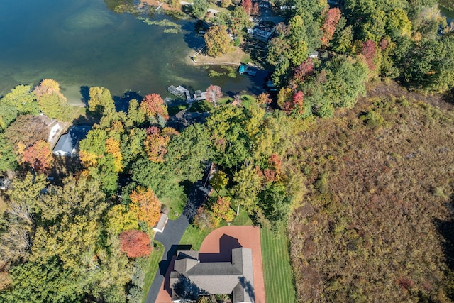8366 Lynwood Ln, Mecosta, MI 49332 - birds eye view of property