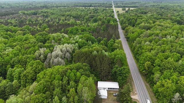 6780 N High Bridge Rd, Brethren, MI 49619 - photo 35
