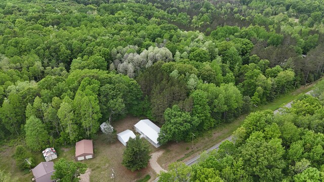 6780 N High Bridge Rd, Brethren, MI 49619 - photo 7