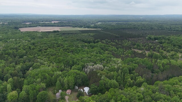 6780 N High Bridge Rd, Brethren, MI 49619 - photo 38