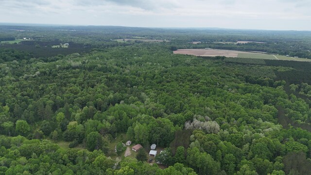 6780 N High Bridge Rd, Brethren, MI 49619 - photo 28
