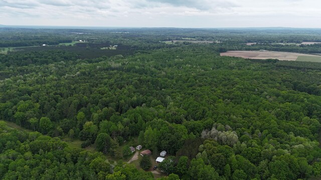 6780 N High Bridge Rd, Brethren, MI 49619 - photo 39