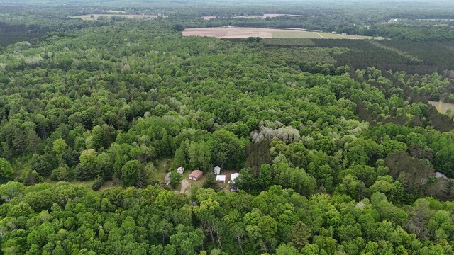 6780 N High Bridge Rd, Brethren, MI 49619 - photo 40