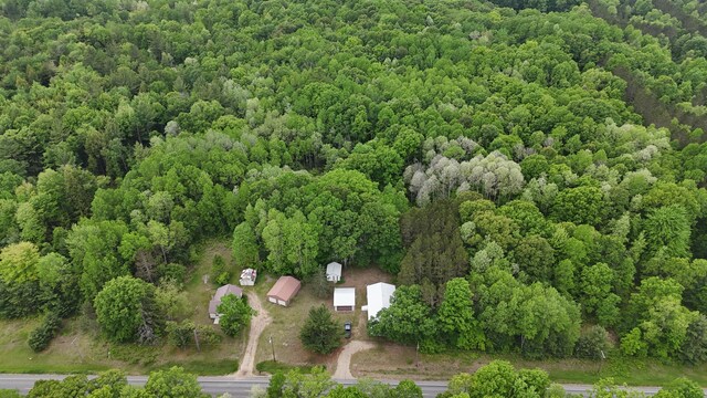 6780 N High Bridge Rd, Brethren, MI 49619 - photo 1