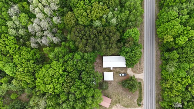 6780 N High Bridge Rd, Brethren, MI 49619 - photo 2