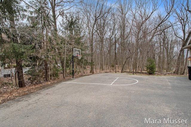 8821 Summerset Woods Ct SE, Alto, MI 49302 - view of basketball court featuring basketball hoop