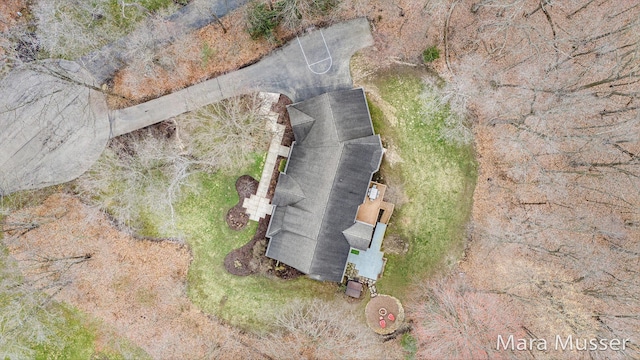 8821 Summerset Woods Ct SE, Alto, MI 49302 - view of subject property