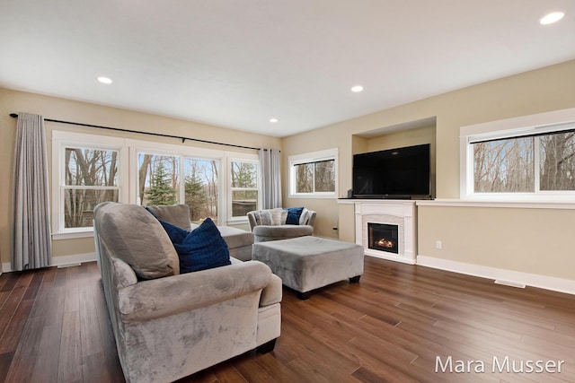 8821 Summerset Woods Ct SE, Alto, MI 49302 - living area featuring dark wood finished floors, baseboards, recessed lighting, and a warm lit fireplace