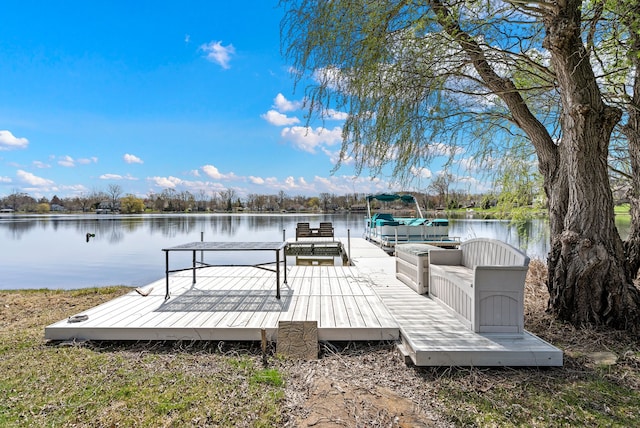 2901 School Lake Dr, Brighton, MI 48843 - photo 9