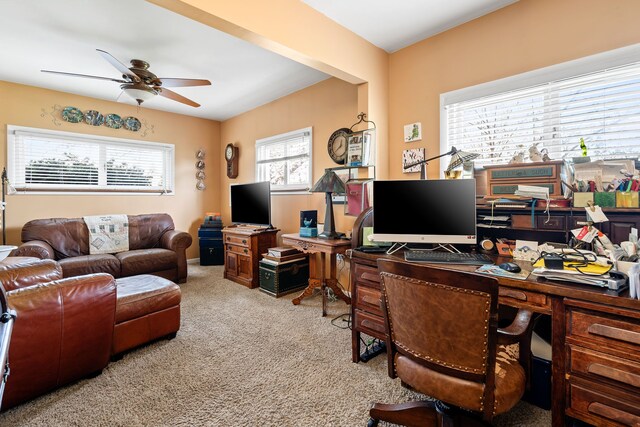 2901 School Lake Dr, Brighton, MI 48843 - photo 52