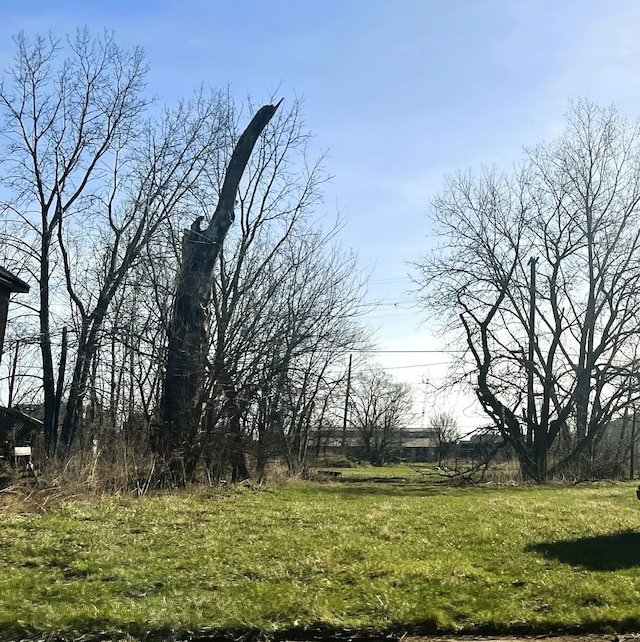 6050 Vermont St, Detroit, MI 48208 - view of yard