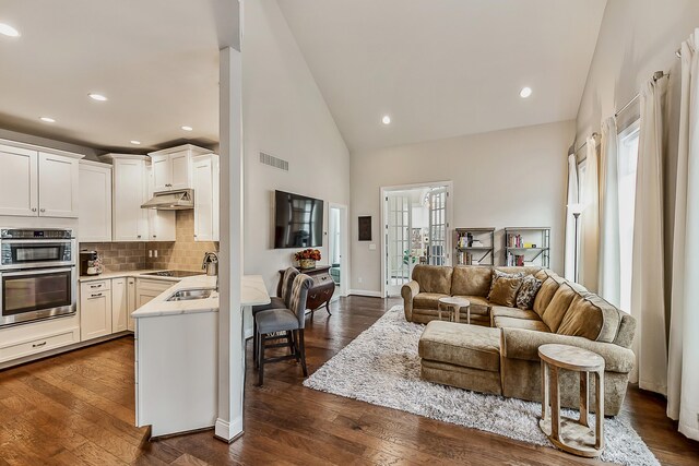 2667 Oxford Cir, Ann Arbor, MI 48103 - living area featuring high vaulted ceiling, dark wood-style floors, recessed lighting, and baseboards
