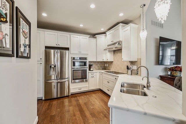 2667 Oxford Cir, Ann Arbor, MI 48103 - kitchen featuring stainless steel appliances, a sink, a peninsula, dark wood-style flooring, and under cabinet range hood