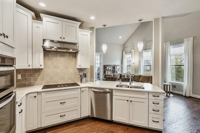 2667 Oxford Cir, Ann Arbor, MI 48103 - kitchen featuring stainless steel appliances, a sink, under cabinet range hood, a peninsula, and dark wood finished floors