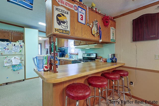kitchen with stainless steel gas stove, a sink, freestanding refrigerator, a textured ceiling, and ornamental molding