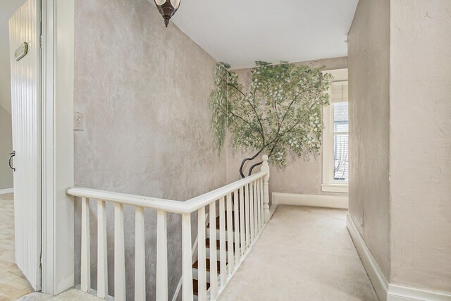 corridor with carpet floors