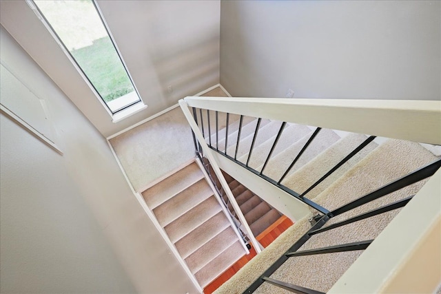 stairway featuring baseboards and carpet flooring