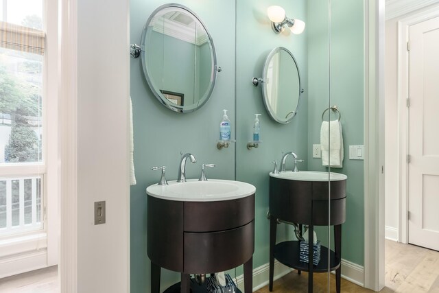 bathroom featuring a sink, baseboards, and wood finished floors