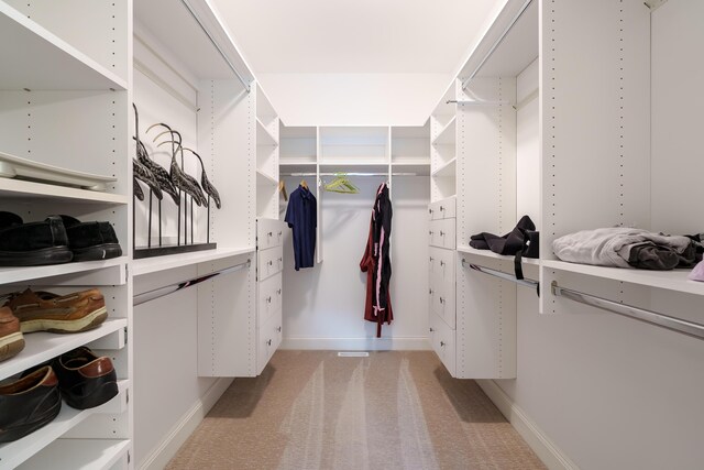 spacious closet featuring light carpet