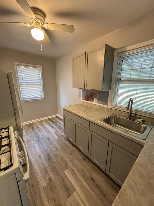 18484 Ashton Ave, Detroit, MI 48219 - kitchen featuring gray cabinets, white appliances, light wood-style flooring, a ceiling fan, and a sink