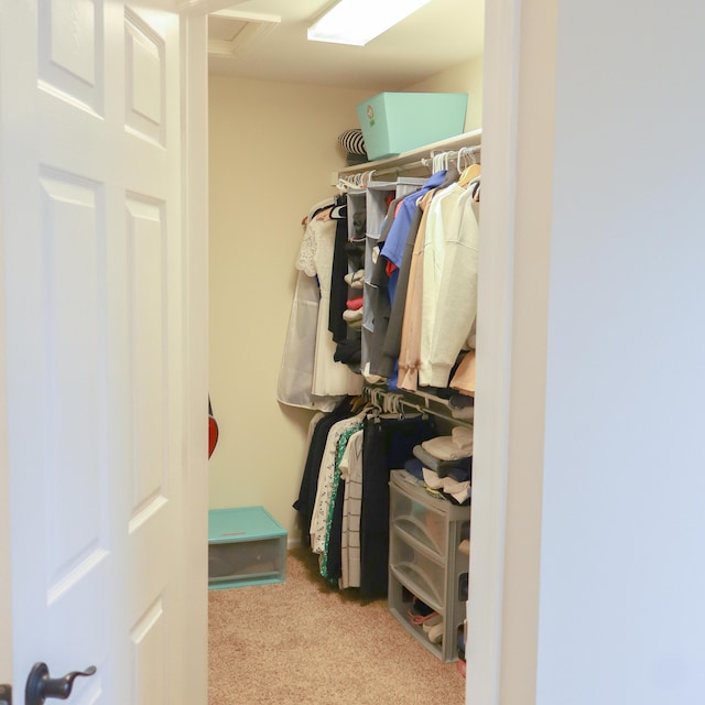 walk in closet featuring carpet