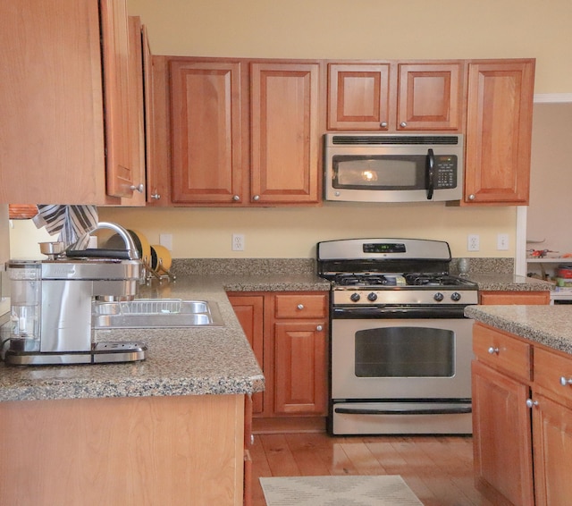kitchen featuring light wood-style flooring, a sink, and stainless steel appliances