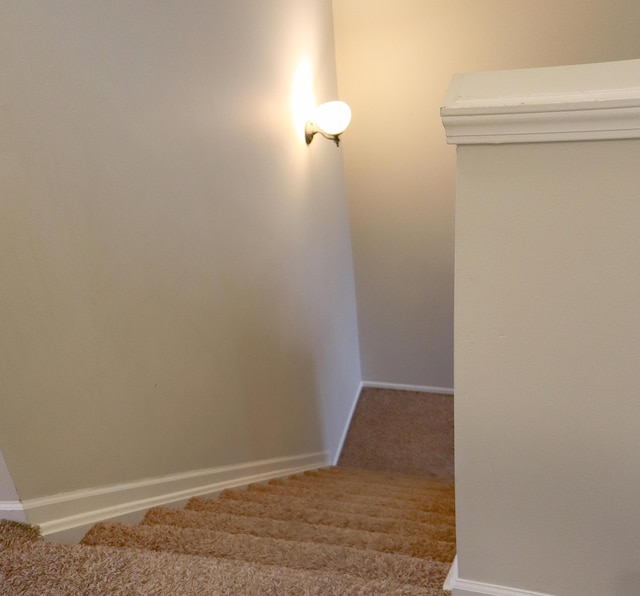 stairway with baseboards and carpet floors