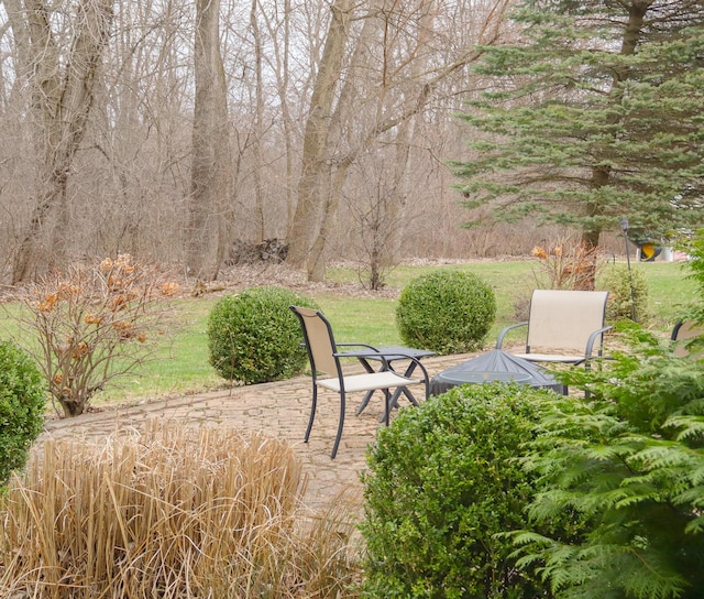 view of yard with a patio area