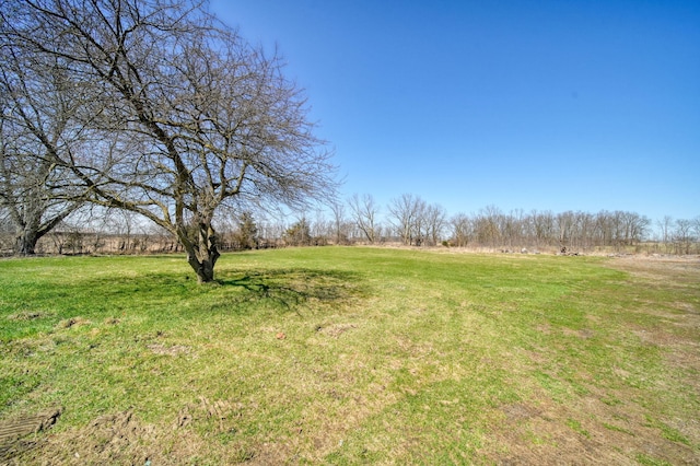 view of yard with a rural view