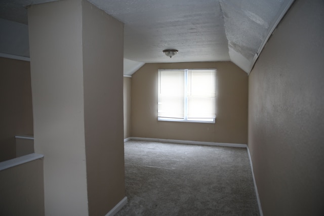8848 Heyden St, Detroit, MI 48228 - bonus room featuring a textured ceiling, carpet flooring, baseboards, and lofted ceiling