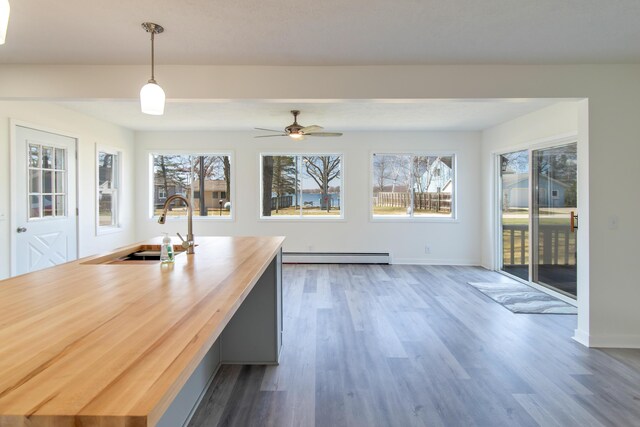 interior space with a sink, plenty of natural light, a baseboard heating unit, and dark wood-type flooring