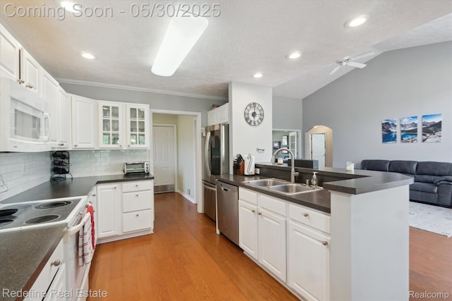 328 Split Rail Rdg, Williamston, MI 48895 - kitchen featuring appliances with stainless steel finishes, a sink, arched walkways, open floor plan, and dark countertops