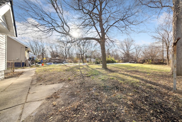 20035 Santa Barbara Dr, Detroit, MI 48221 - view of yard